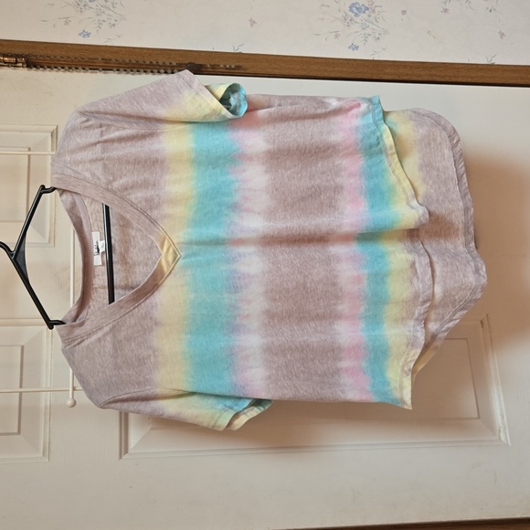 Multicolored Crop Tee with V-Neck and Relaxed Fit - Picture 2 of 7